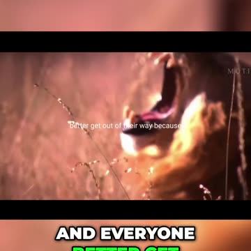 Unleash Your Inner Lion: The Secret to Success and Perseverance