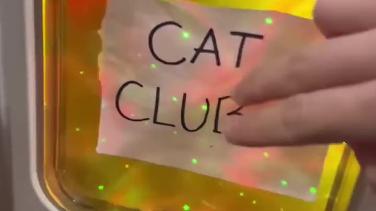 Cat club! 🙀🙀