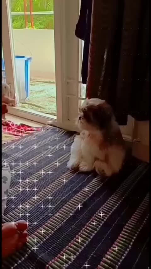 Biotox Gold™ 6-Bottle Pack - Advanced Weight Loss and Detox FormulaBUY NOW AND SAVE