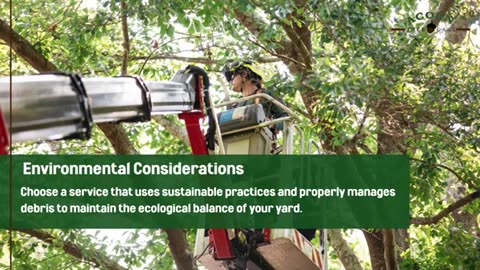 Stump Removal Services: What to Consider