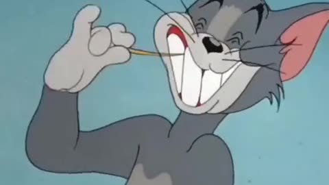 Cartoon Tom and Jerry