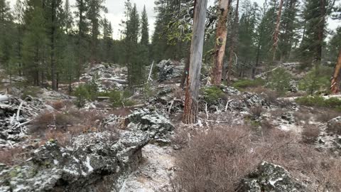 360 Panorama of Volcanic Zone – Central Oregon – Edison Sno-Park – 4K