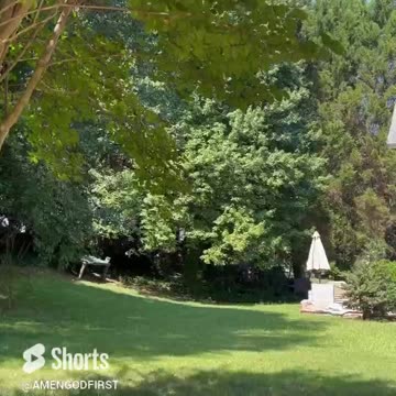 Daily nature vibes #shorts