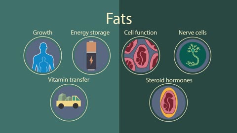 Balanced diet _ Health _ Biology