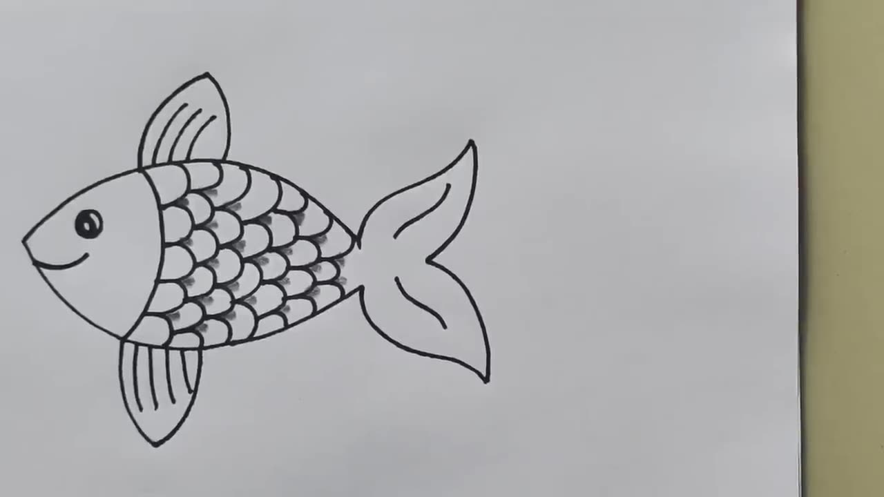 Fish Drawing