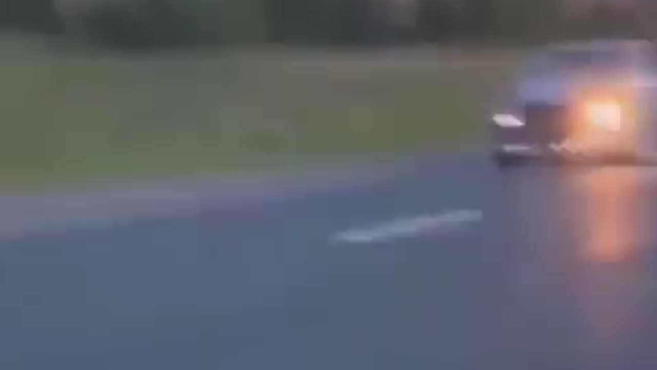 Moose Sent Flying