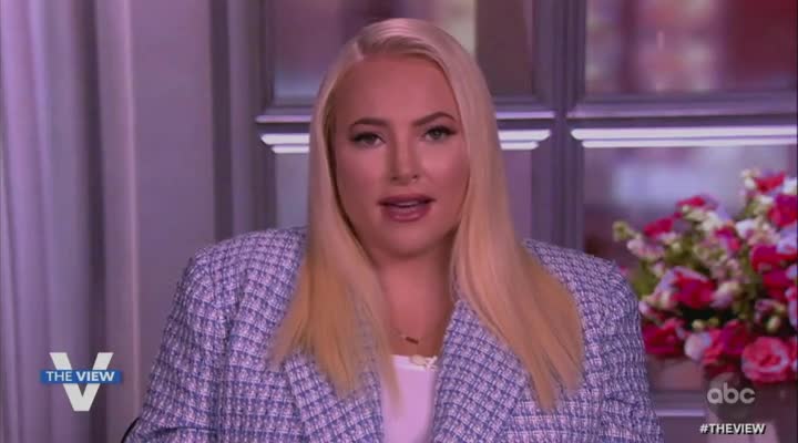 Meghan McCain warns Democrats not to attack DeSantis