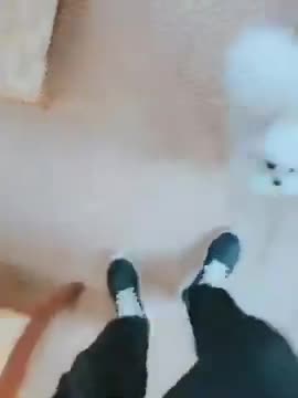 20180818文贵先生视频： Snow今天要去与女朋友约会了