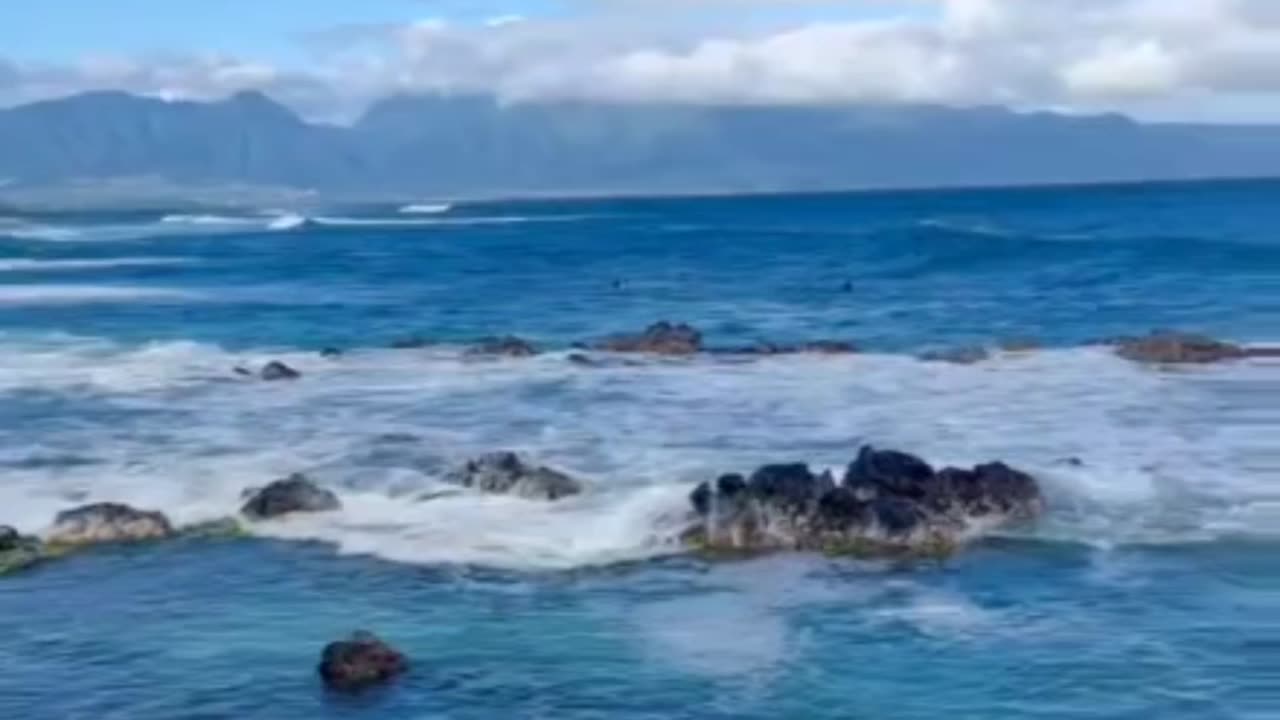 📍Ho’okipa Lookout 🏄‍♂️ Maui, Hawaii 🌺