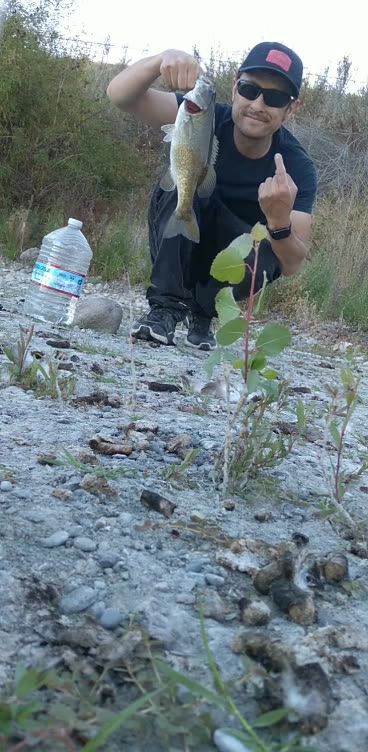 Beautiful Little Chunky Small Mouth Bass