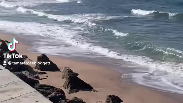 I #love a rocky #beach for #seatreasure combing #tamararoseblodgett