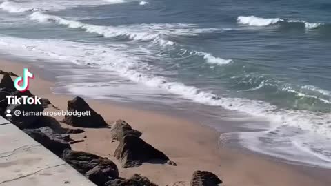 I #love a rocky #beach for #seatreasure combing #tamararoseblodgett