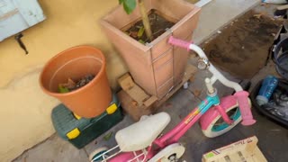 2022-10-15 (1) - petit rangement - Twitch Decheterie