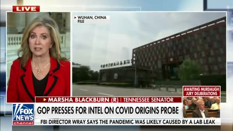 Sen. Marsha Blackburn: Communist China Needs To Come Forward About The COVID Origins