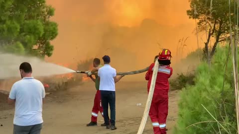 Pisha Fier 1
