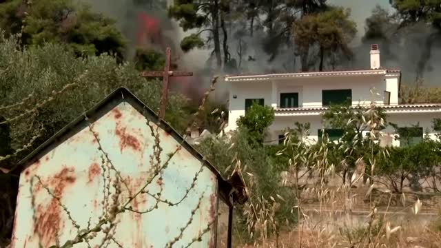 Greece wildfires 'like a horror movie' -evacuee