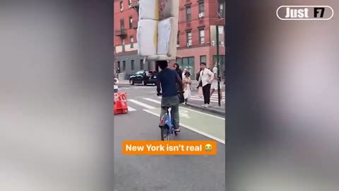 funny video