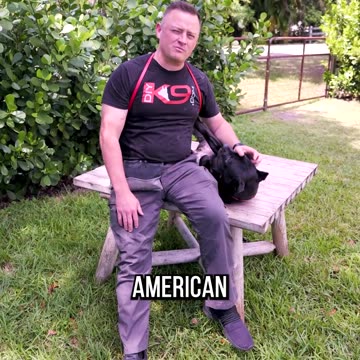 And Bella’s Breed Is…