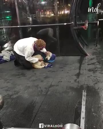 Kind stranger gives dog his own wool vest!