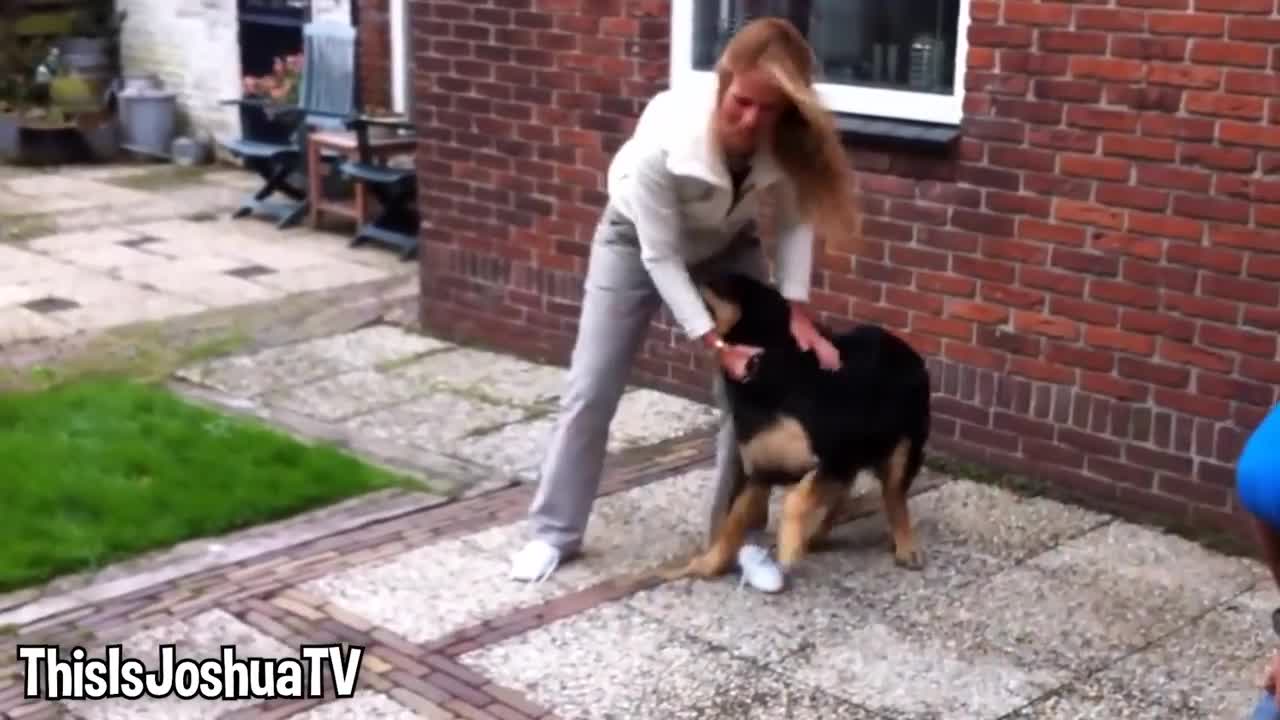 Girl Reunites With Pet Lion After 8 YEARS..