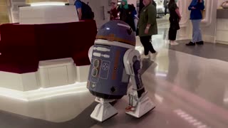 Disney launches immersive Star Wars cruise