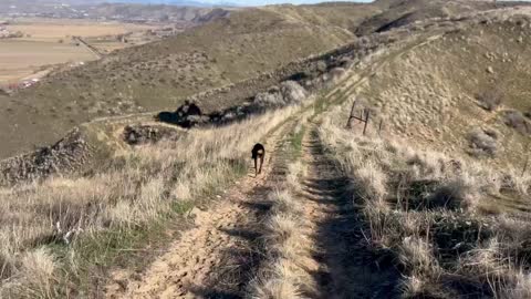 First off leash at Emmett Cliffs