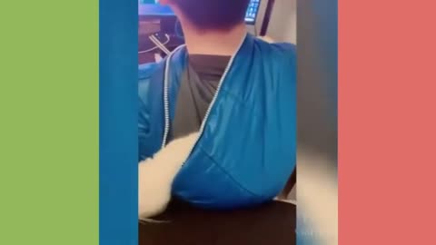 Need of Relaxation_ Just watch this funny animal videos!