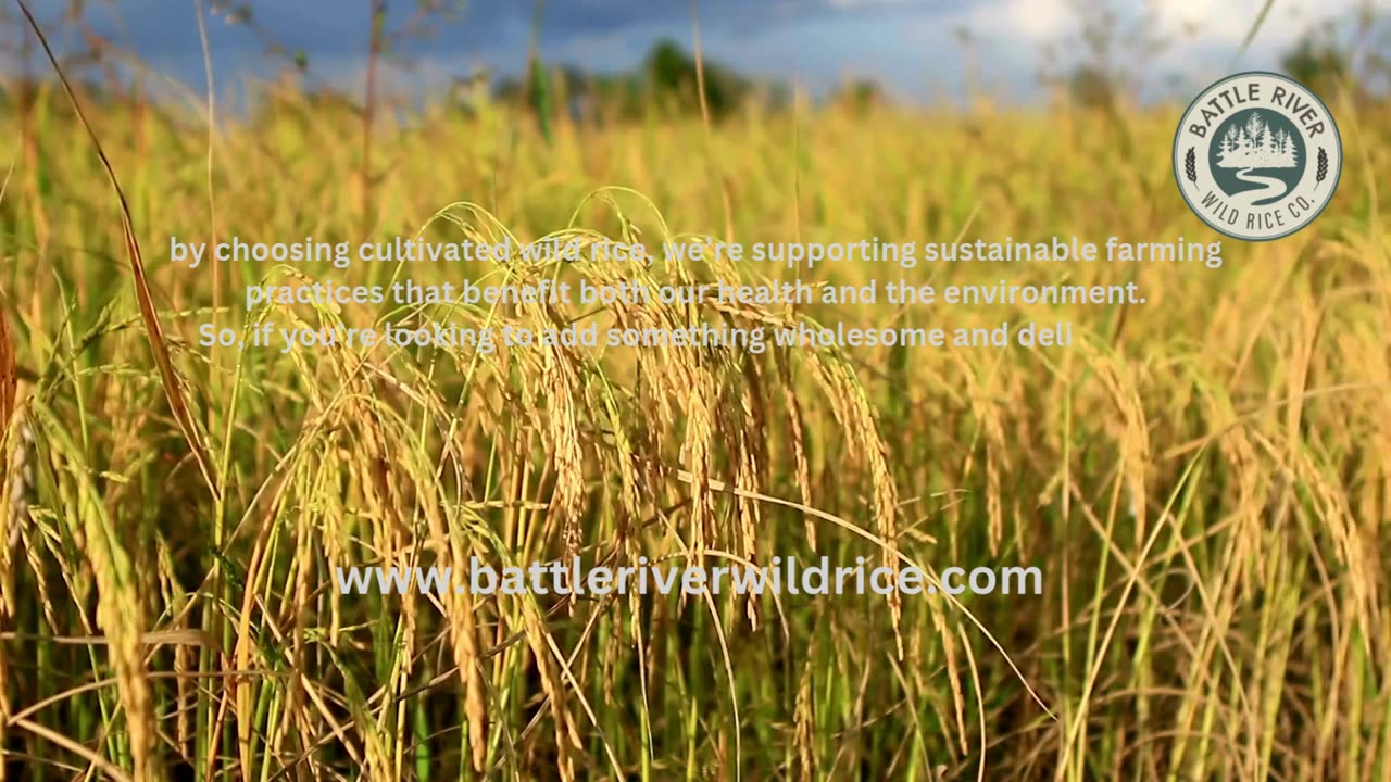 Embrace the Flavor and Nutrition of Cultivated Wild Rice – Perfect for Every Meal