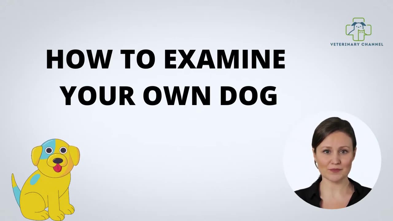 How to examine your Dog at home