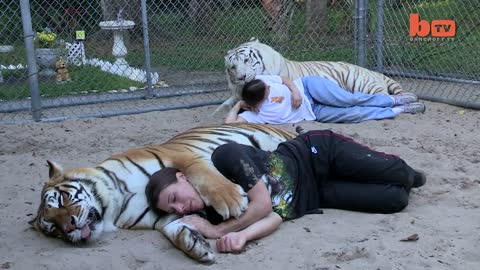 Florida Woman Keeps Bengal Tigers In Her Garden