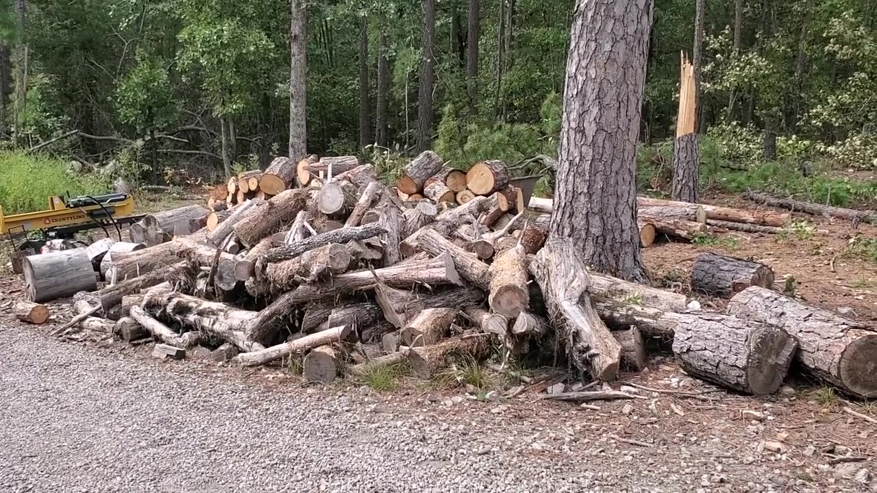 Homestead Minute - Firewood