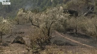 Spain wildfires force thousands out of their homes