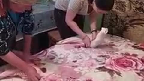 Ensinando Márcia a dobrar a roupa.