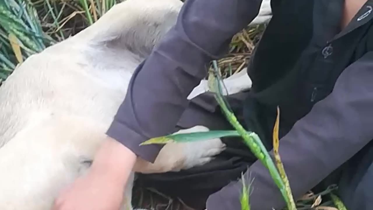 A random Kid gets caught playing in the field