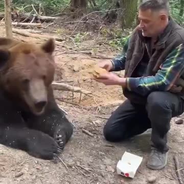 BEAR KNOWS WHAT IS FOOD