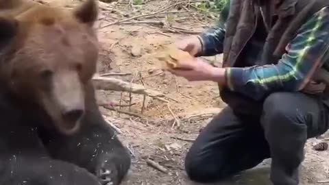 BEAR KNOWS WHAT IS FOOD