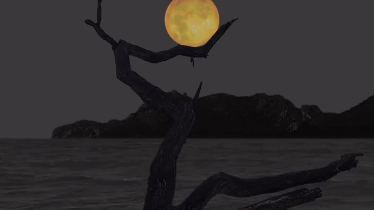 Relaxing music along with beautiful nature
