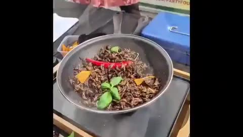 Teachers feeding the kids bugs