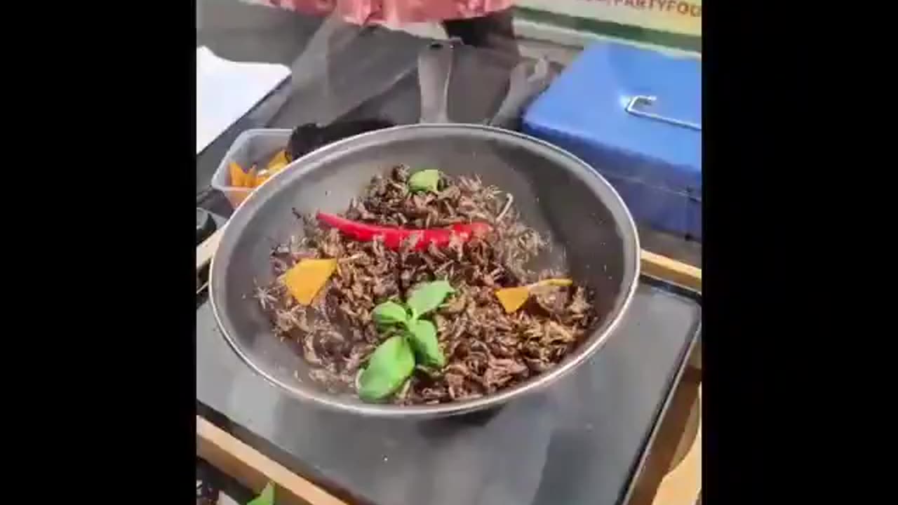 Teachers feeding the kids bugs