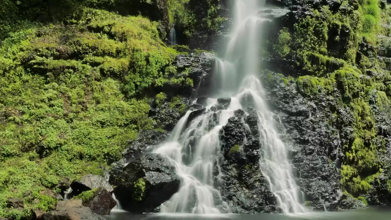 Lush Waterfall in forest Stone waterfall in a wild forest.