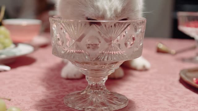 A Cat Licking The Crystal Glass On Top Of The Table