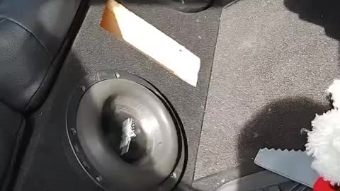 (4) Skar Audio ZVX-8" Subwoofers Banging in a Ford F-150 Crew Cab