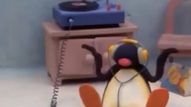 A penguin with a great sense of rhythm