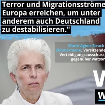 Strack-Zimmermann (FDP)