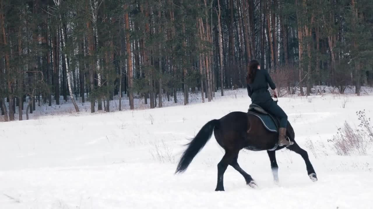 Beautiful longhaired woman riding a black horse through the snow in the forest, stallion prancing