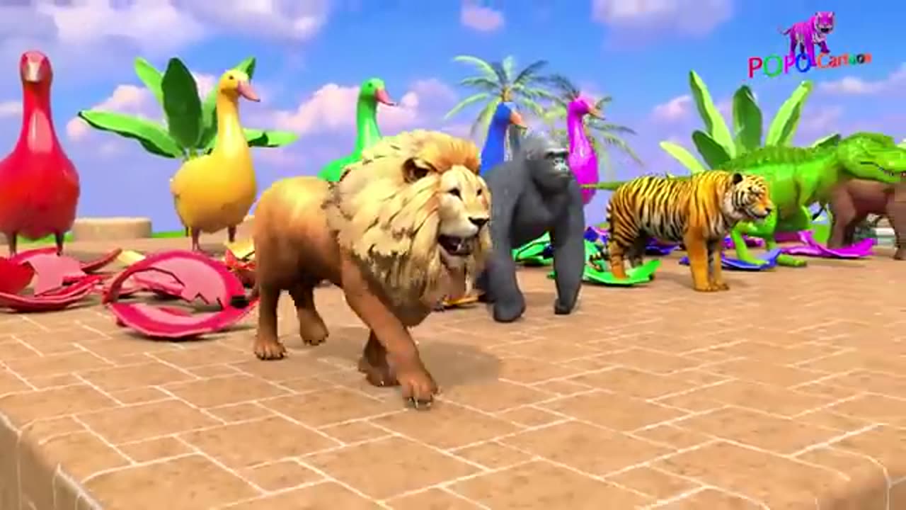 Funny video