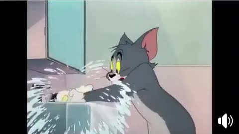 Funny Cat Covid-19