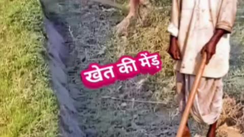 मोदी जी और राहुल जी में खेत की मेंड़ को लेकर हुआ झगड़ा | Comedy #shorts #modi #funny