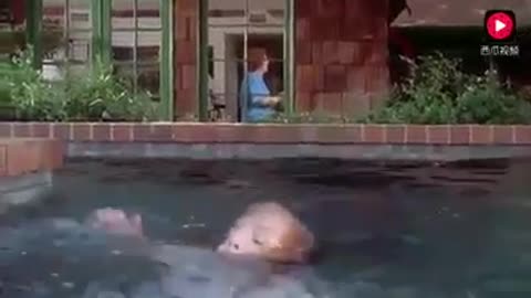 A Dog Save A Girl When She Fall In Swimming Pool