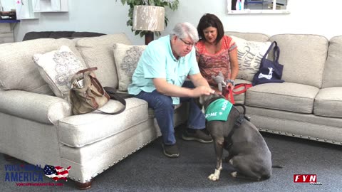 PET OF THE WEEK: Meet Hercules www.HumaneSocietyofBlueRidge.org